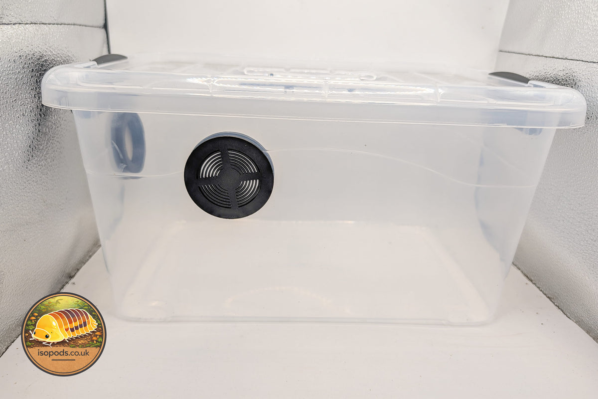 Picture of 10L Isopod Tub Side