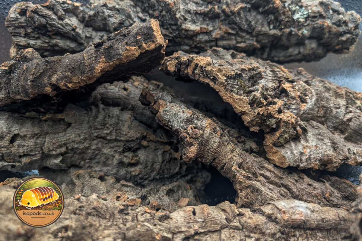 Picture of Cork Bark for isopods