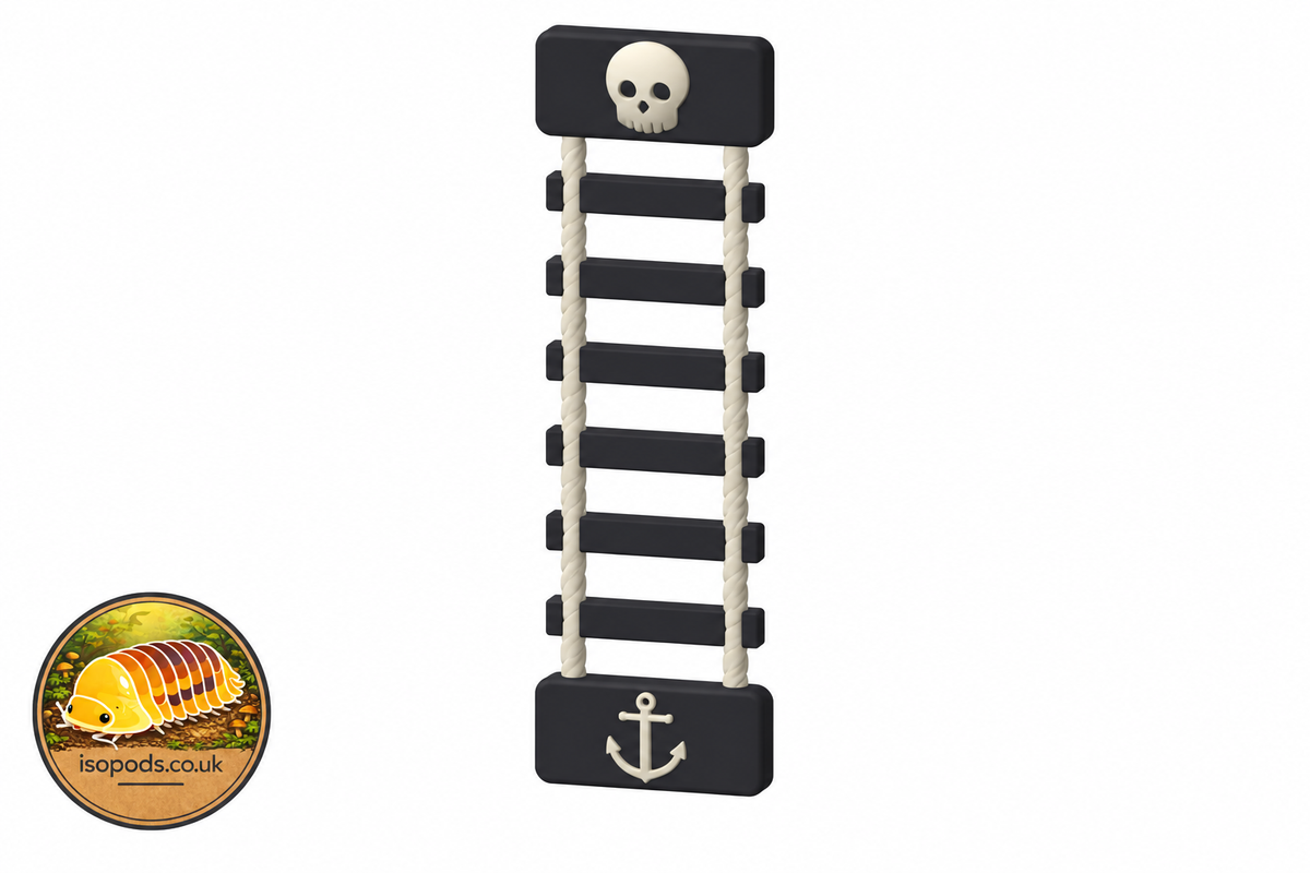 Design illustration of rope ladder skull and anchor