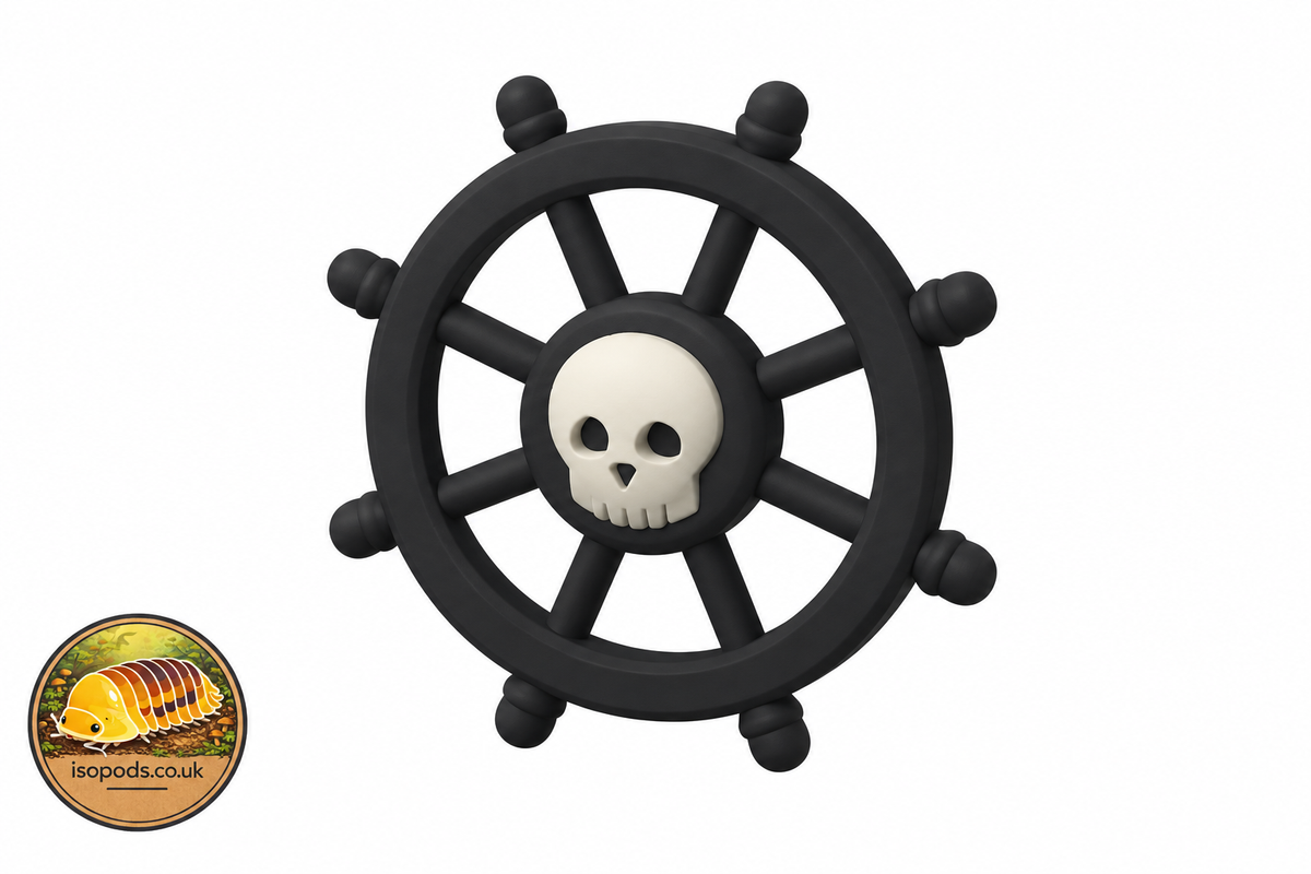 Design illustration of ships wheel skull