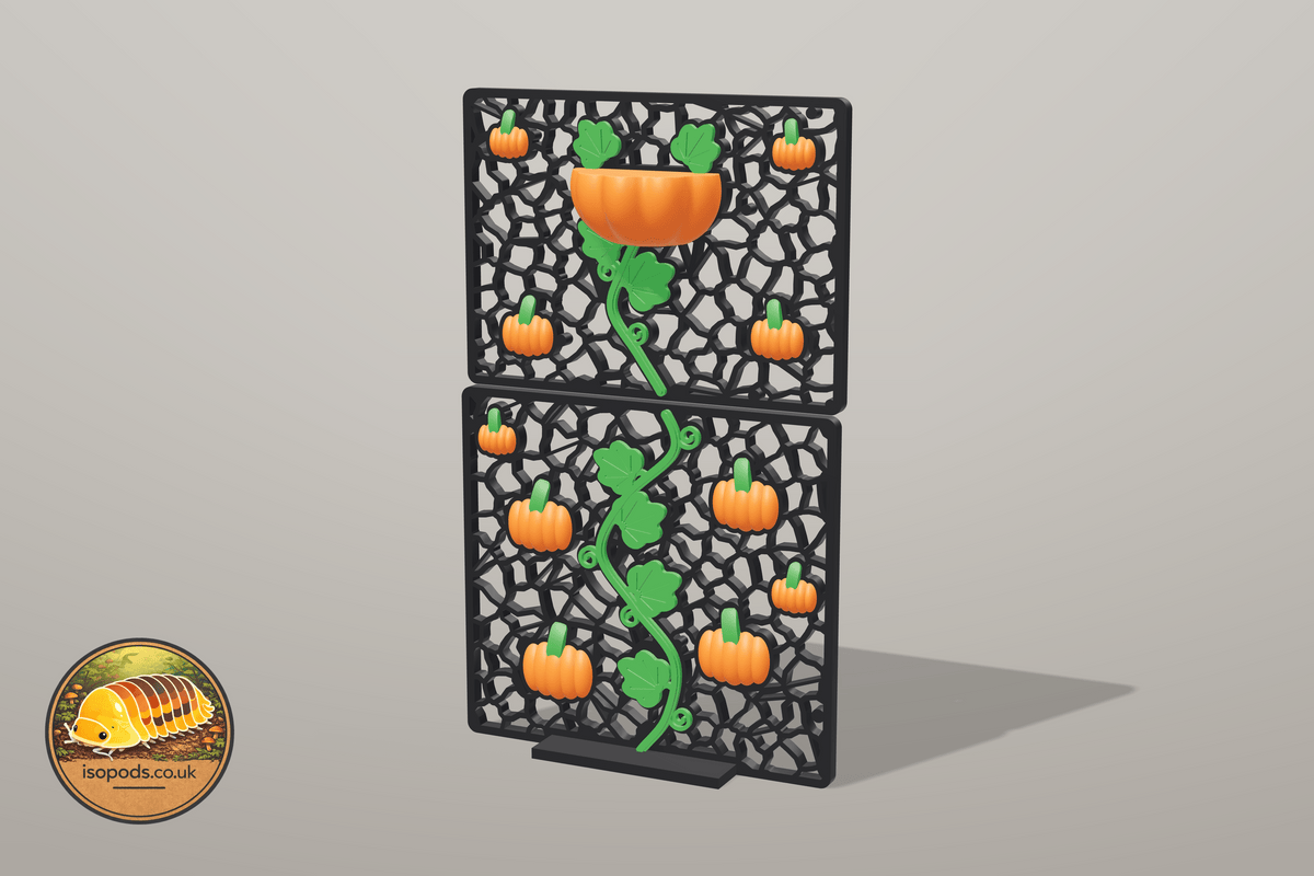 Pumpkin Patch Jumping Spider Complete Wall — 12 x 12 x 20 box