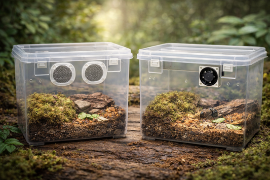 Test Blog On Isopods - Test 1