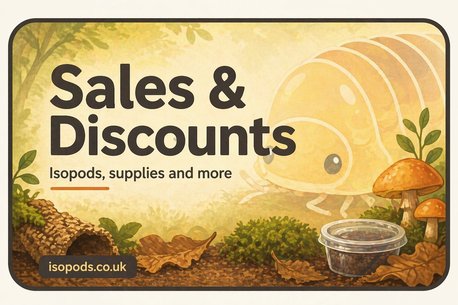 Sales and promotions