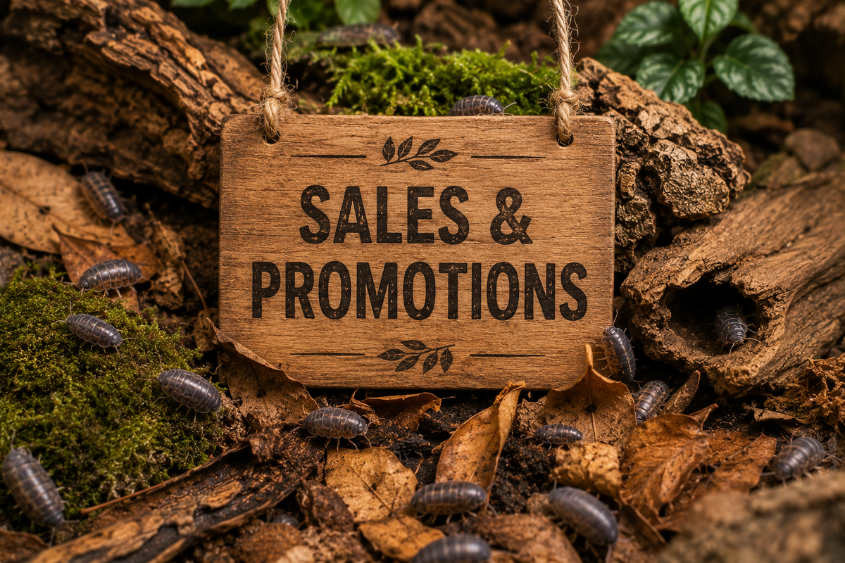 Sales and promotions