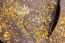 Yellow Albino Springtails (Ceratophysella isabellae)