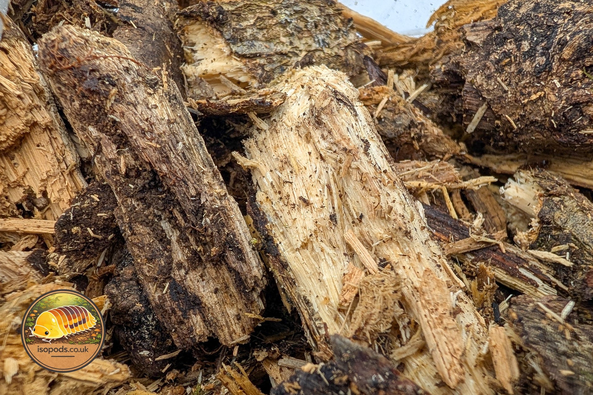 Isopods.co.uk Rot wood picture