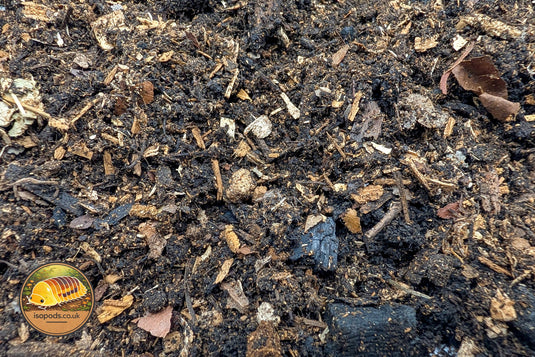 Picture of isopods.co.uk substrate mix