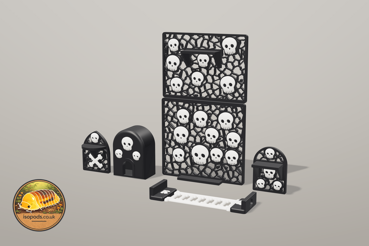 Catacombs 12x12 Jumping Spider Set — SET catacombs 12x12