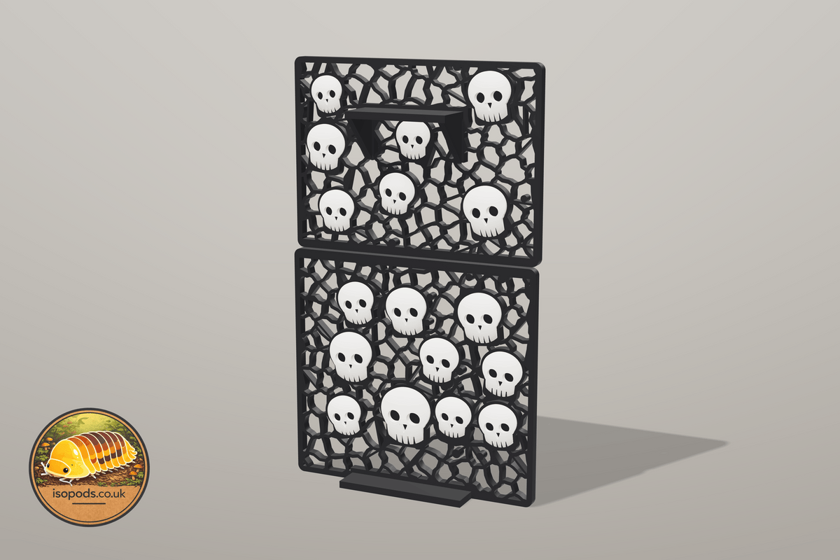 Catacombs 12x12 Jumping Spider Set — skull climbing wall assembled