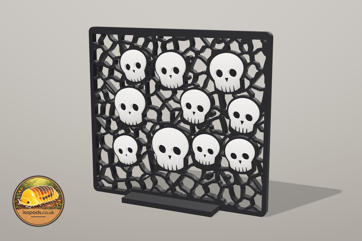 Catacombs 12x12 Jumping Spider Set — wall lower panel