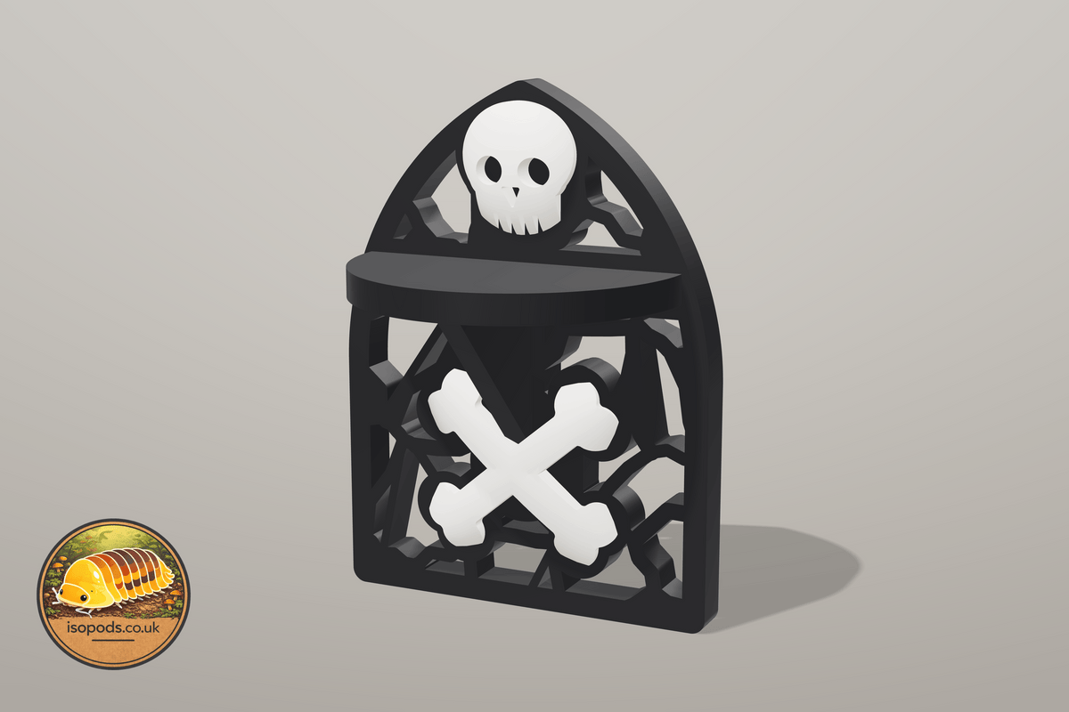 Catacombs Jumping Spider Set — bones ledge