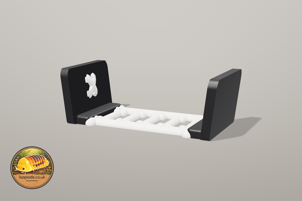 Catacombs Coffin Jumping Spider Set — bone ladder across 70mm