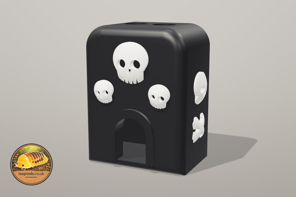 Catacombs Coffin Jumping Spider Set — catacombs hide small