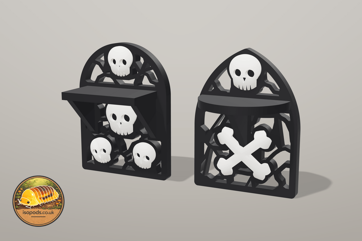 Catacombs Jumping Spider Set — ledges pair