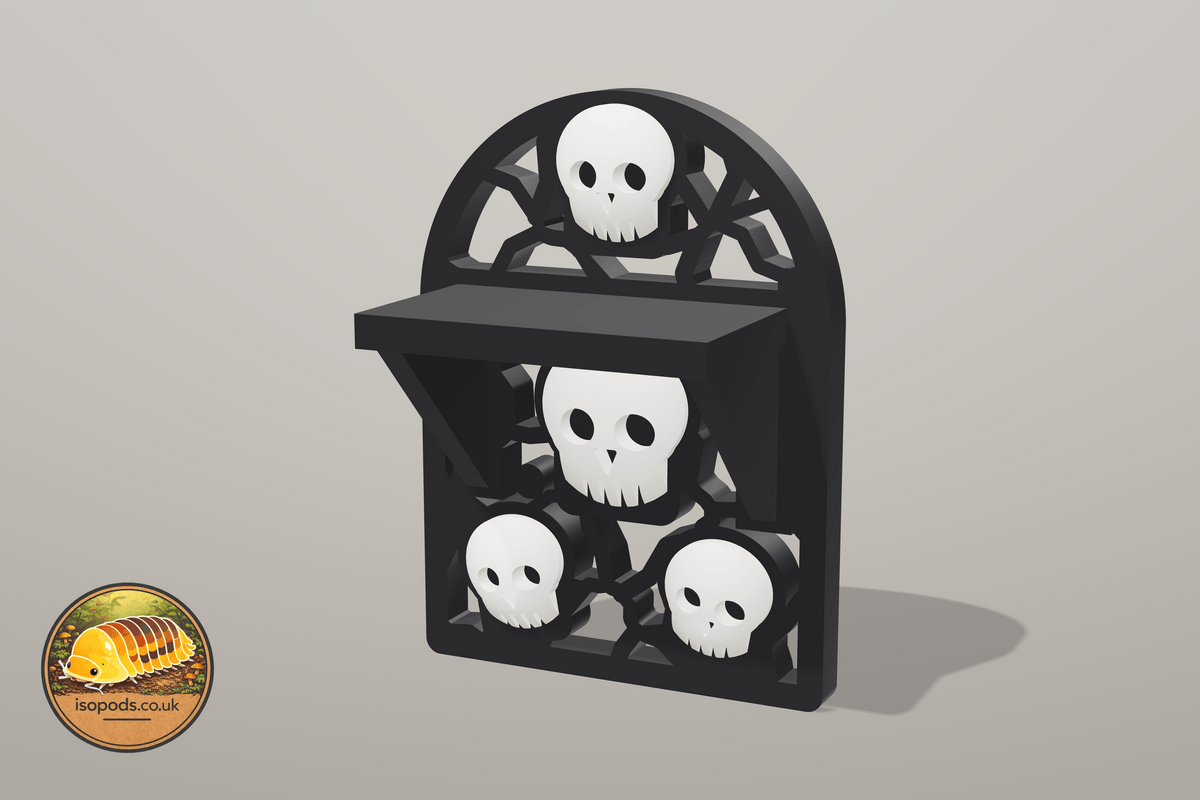 Catacombs Jumping Spider Set — skull ledge