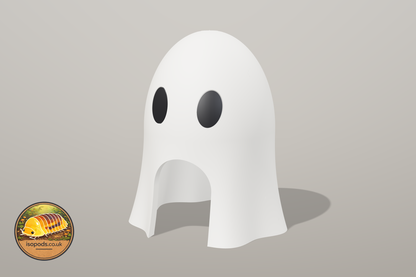 Ghost floor Hide — Graveyard Jumping Spider Set