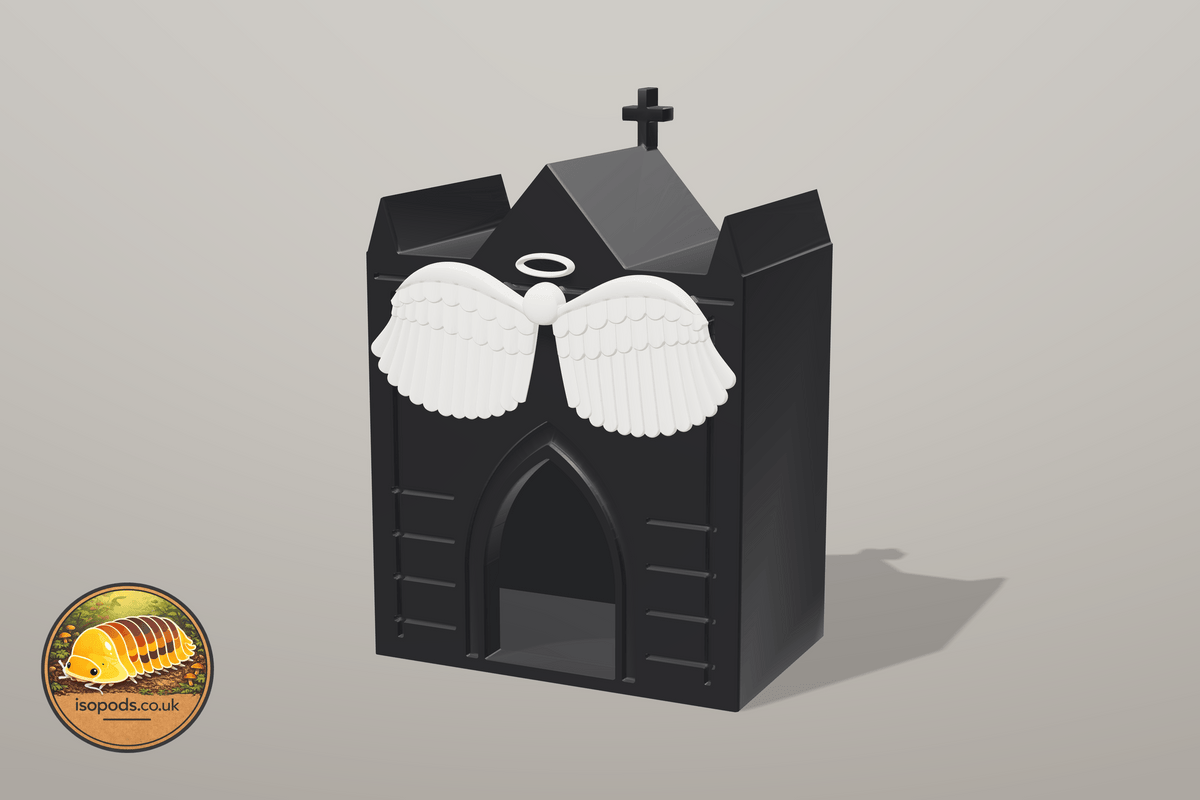 Graveyard Jumping Spider Crypt Hide — Coffin
