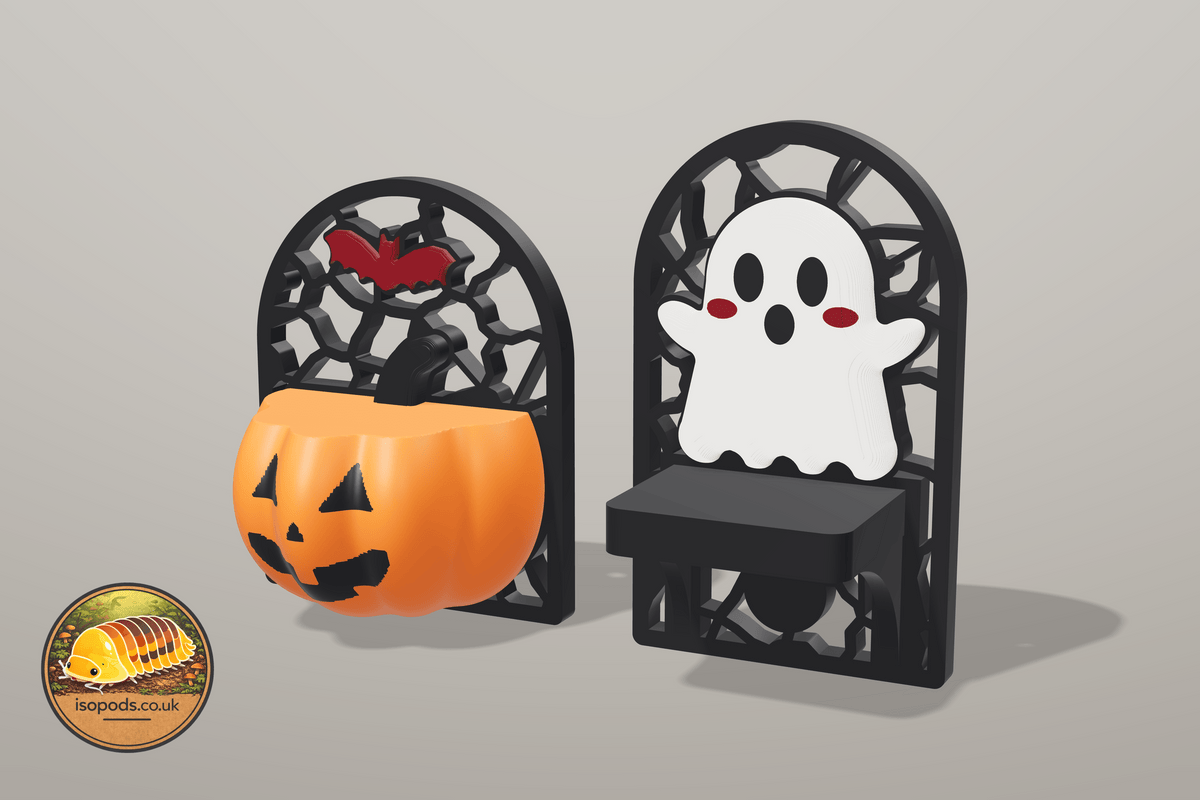 Happy Halloween Jumping Spider Ledge Pair — Both enclosures