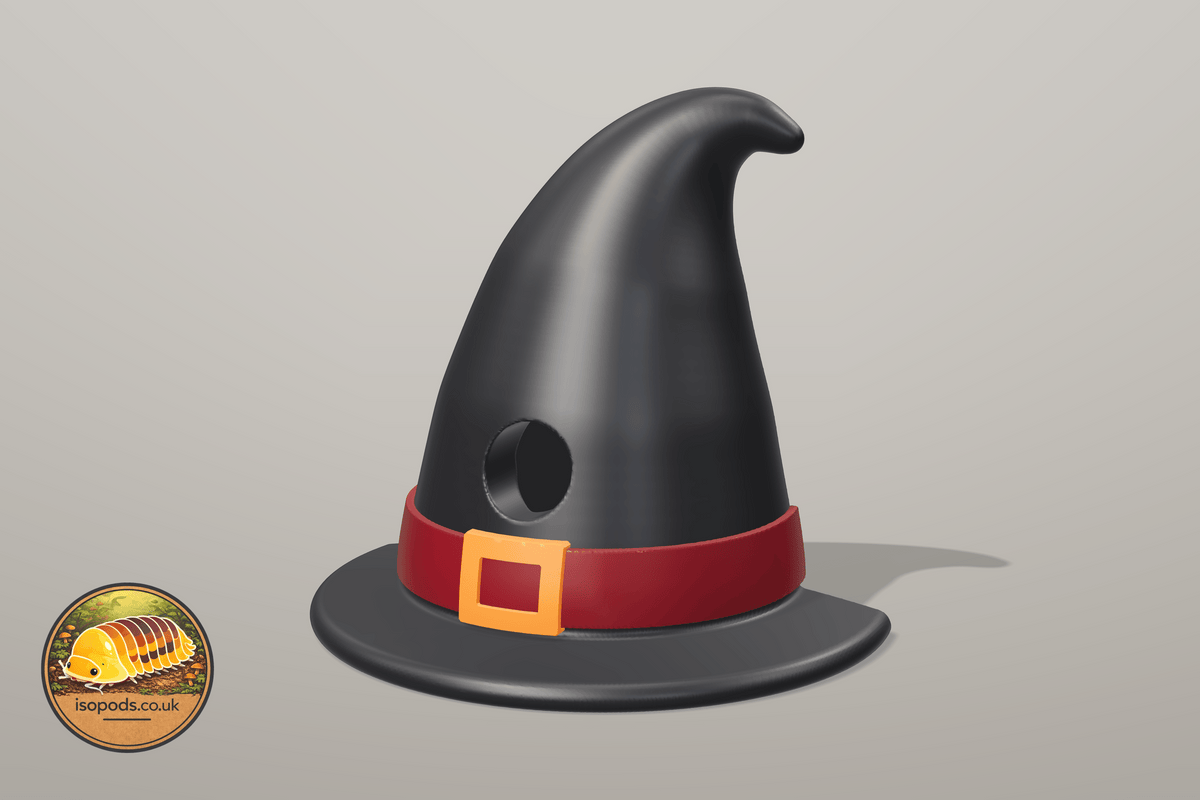 Happy Halloween Jumping Spider Set — witch hat hide