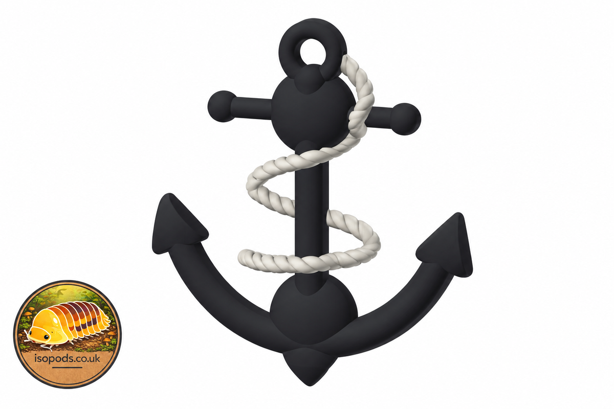 Design illustration of anchor climbing accessory