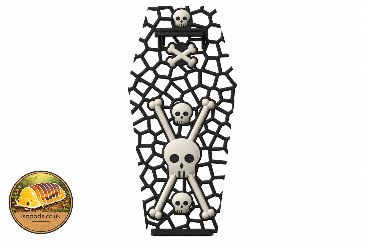 Design illustration of climbing wall skull and cross bones