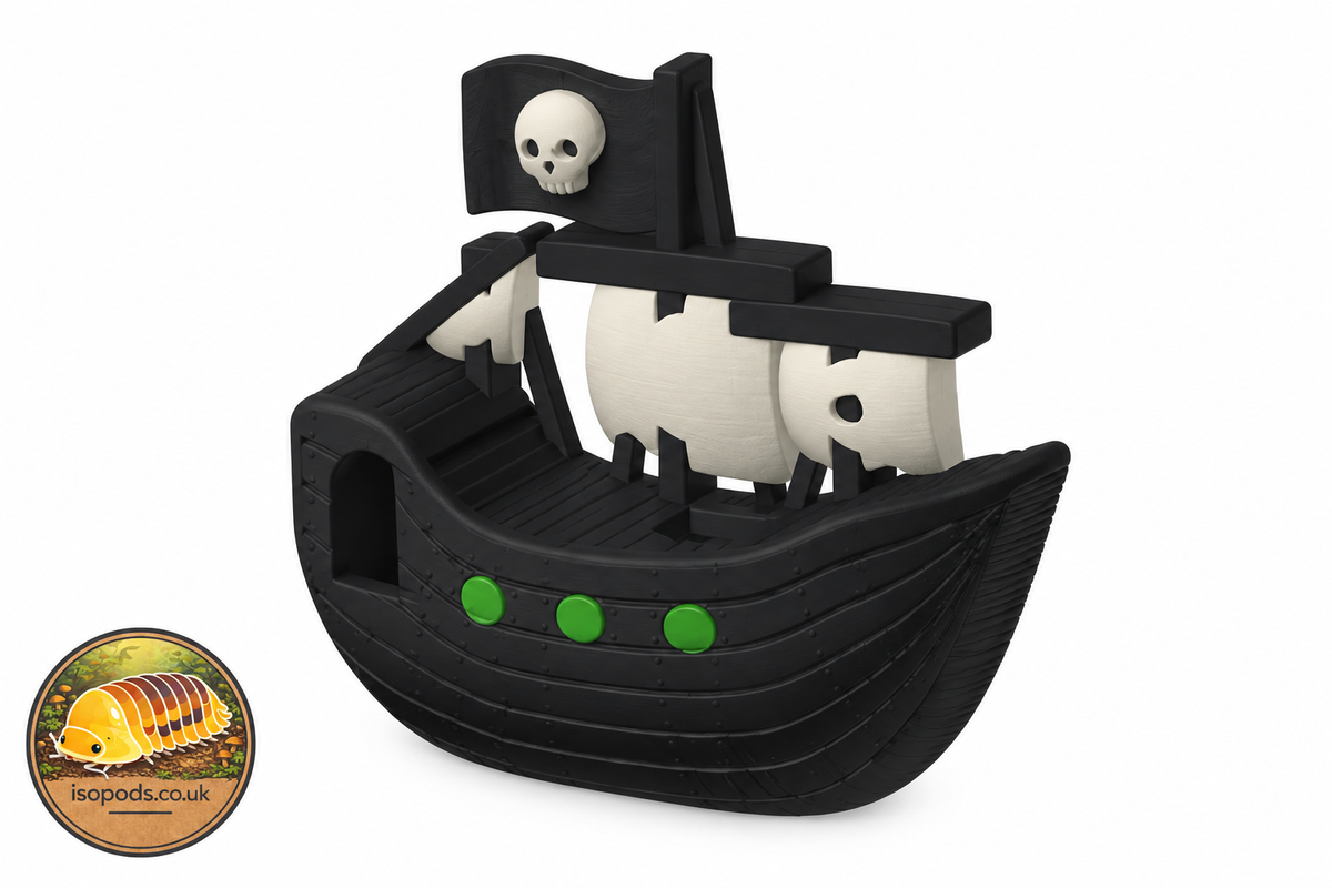 Design illustration of hide pirate ghost ship