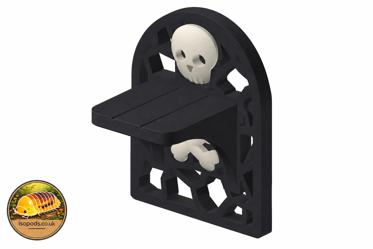 Design illustration of plank ledge skull and cross bones