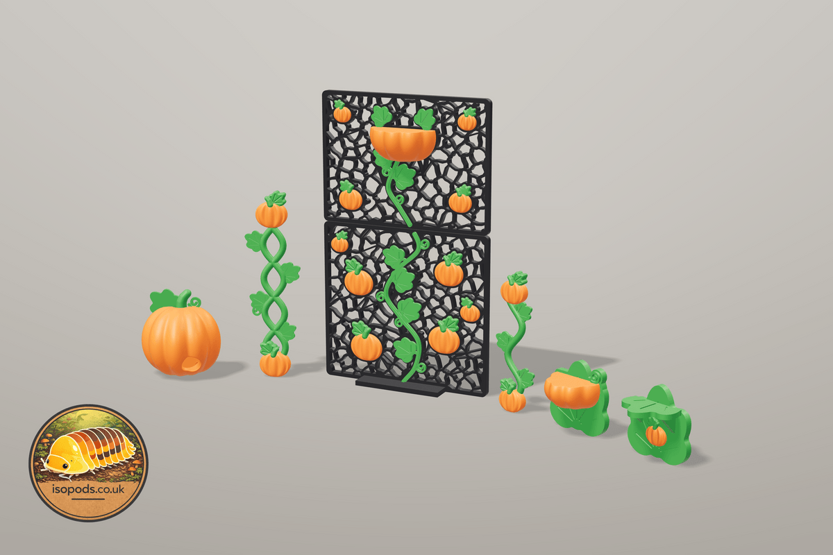 Pumpkin Patch 12x12 Jumping Spider Set — SET pumpkin patch 12x12