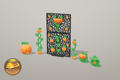 Pumpkin Patch 12x12 Jumping Spider Set — SET pumpkin patch 12x12