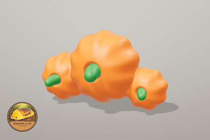 Pumpkin Patch Jumping Spider Set — P25 pumpkin cluster