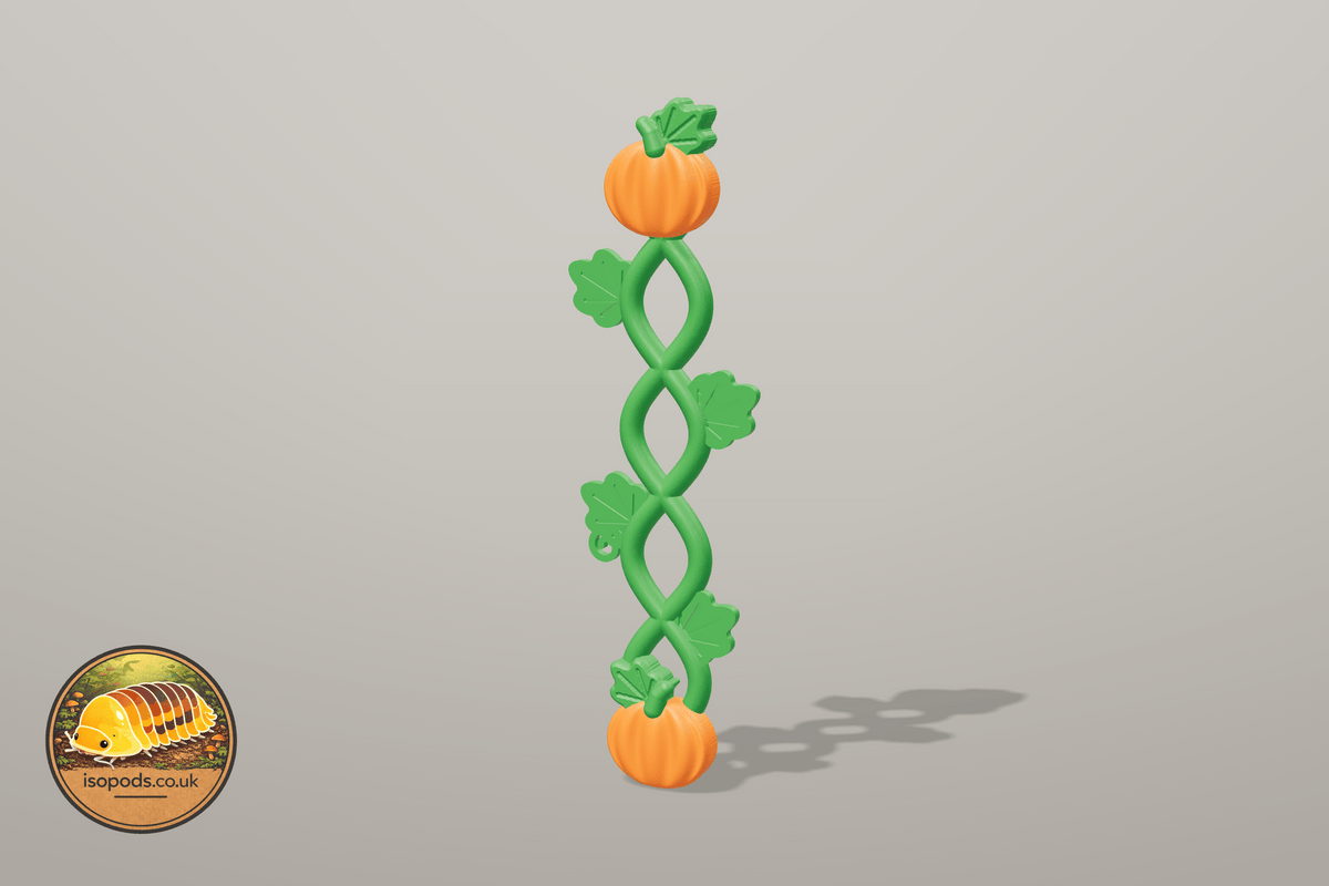 Pumpkin Patch Jumping Spider Set — braided vine