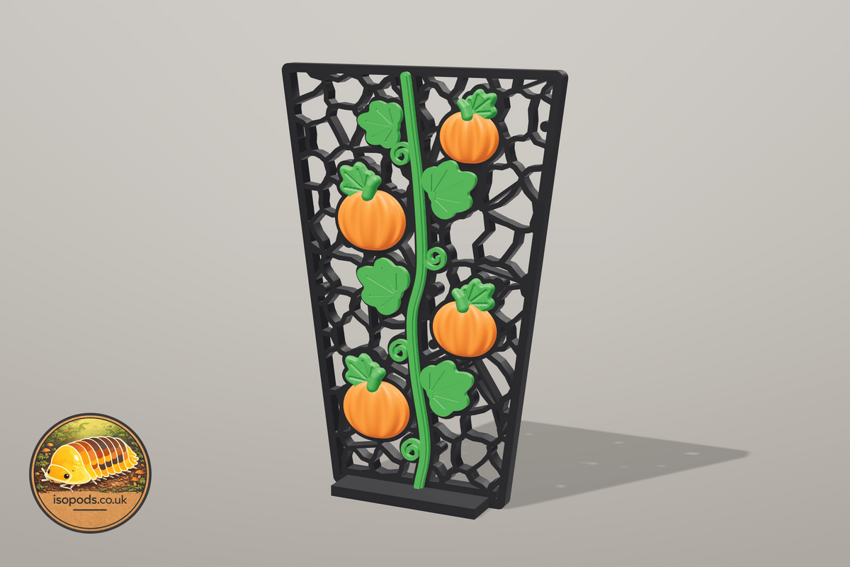 Pumpkin Patch Coffin Jumping Spider Set — wall lower panel