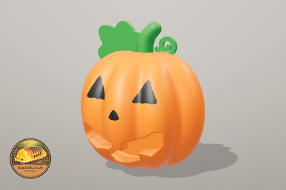 Pumpkin Patch Jumping Spider Set — jack o lantern hide classic