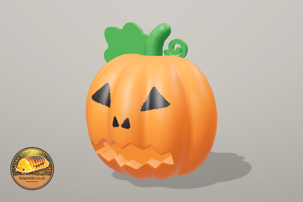 Pumpkin Patch Jumping Spider Set — jack o lantern hide spooky