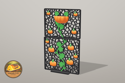 Pumpkin Patch Jumping Spider Complete Wall — 12 x 12 x 20 box