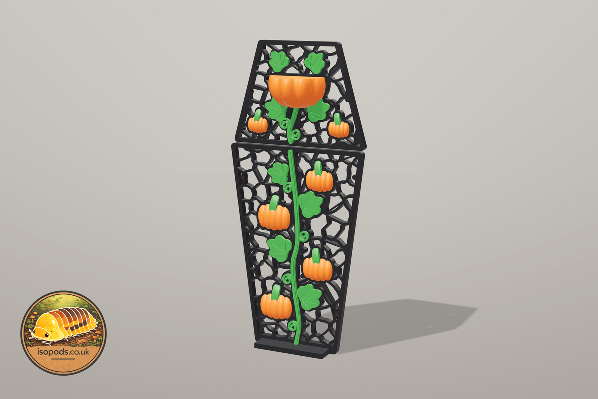 Pumpkin Patch Jumping Spider Complete Wall — Coffin