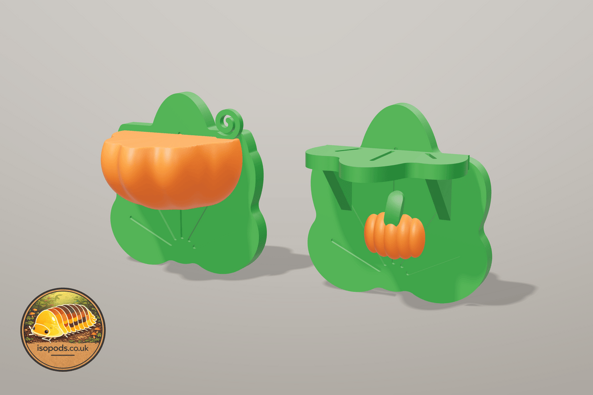 Pumpkin Patch Jumping Spider Ledge Pair — Both enclosures