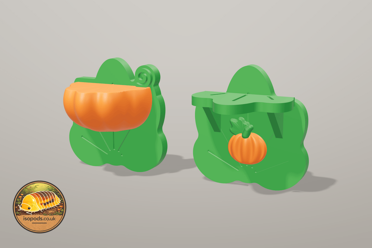 Pumpkin Patch Jumping Spider Set — ledges pair
