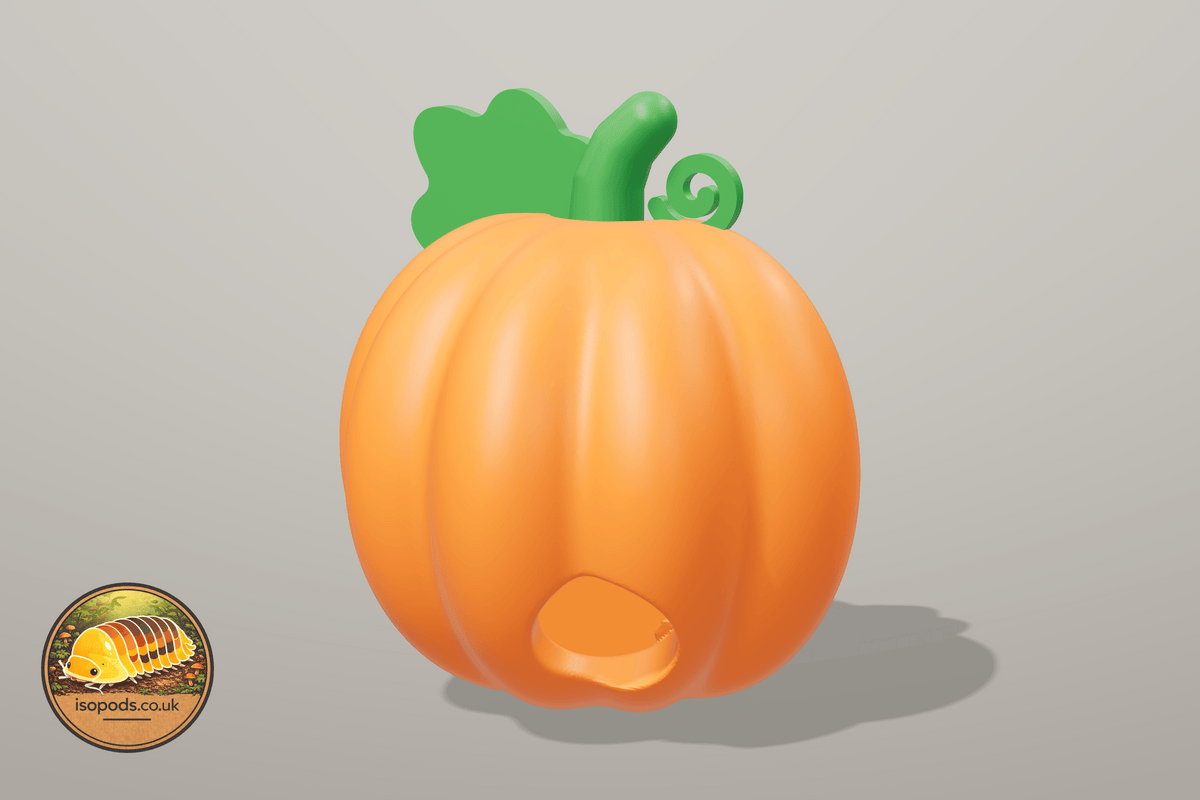 Pumpkin Patch Jumping Spider Set — pumpkin hide