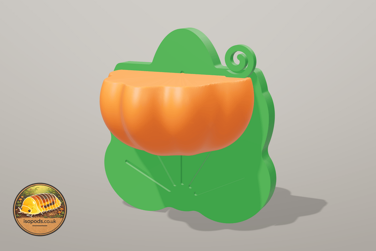 Pumpkin Patch Jumping Spider Set — pumpkin ledge