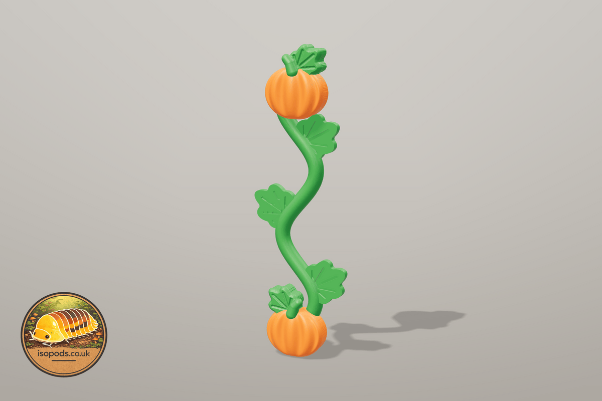 Pumpkin Patch Jumping Spider Set — wavy vine